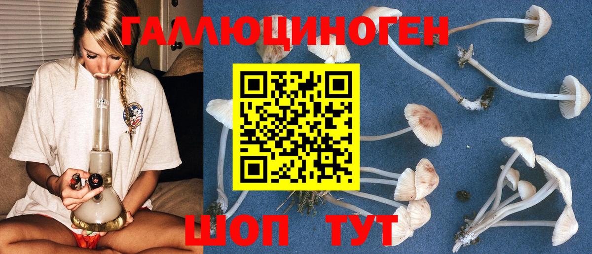 Галлюциногенные грибы Psilocybe  Вход с VPN  Псилоцибиновые грибы Psilocybe  Гагарин 