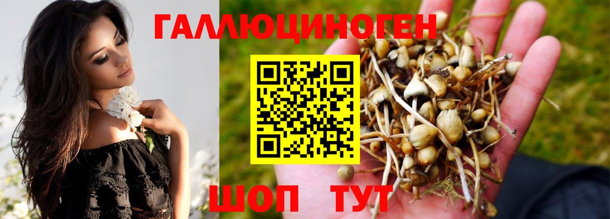 Галлюциногенные грибы Magic Shrooms Гагарин